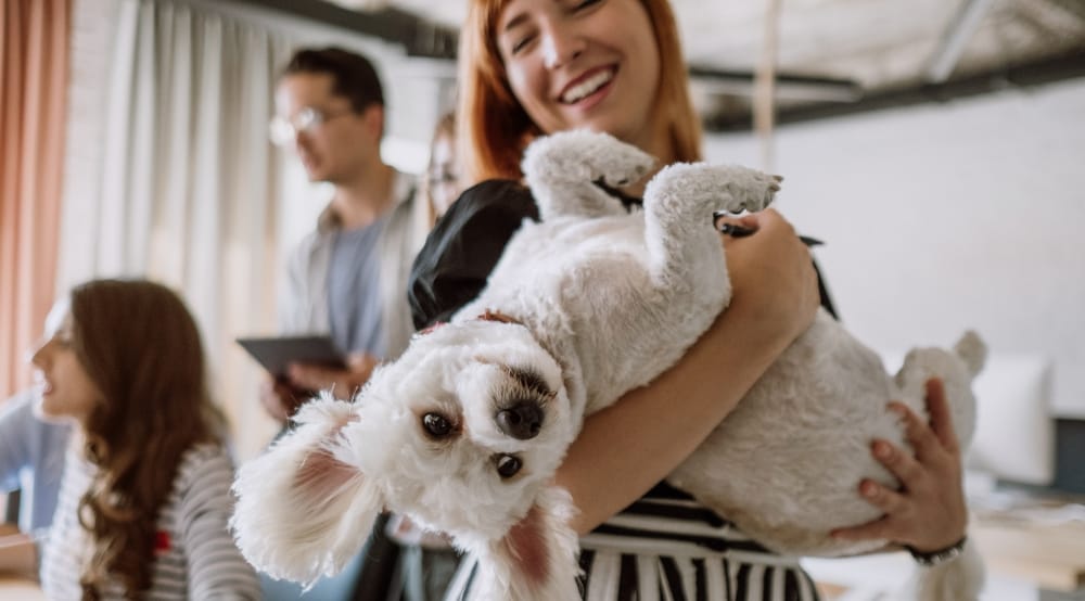 Dogs, Design Help, and Space to Take Zoom Calls: The Latest Office Demands From UK Businesses – Knight Frank (UK)