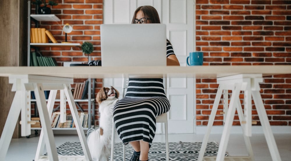 Why #WFH Won’t Be Forever – Knight Frank (UK)