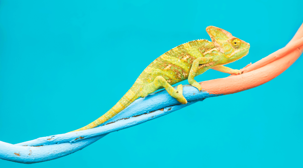 3 Reasons Why Businesses Fail to Adapt (And How to Get it Right) – Knight Frank (UK)