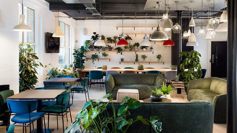 Uncommon islington